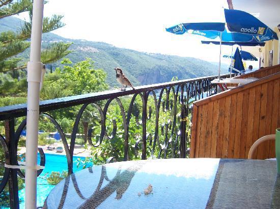 Bella Vista Hotel And Apartments Parga Luaran gambar